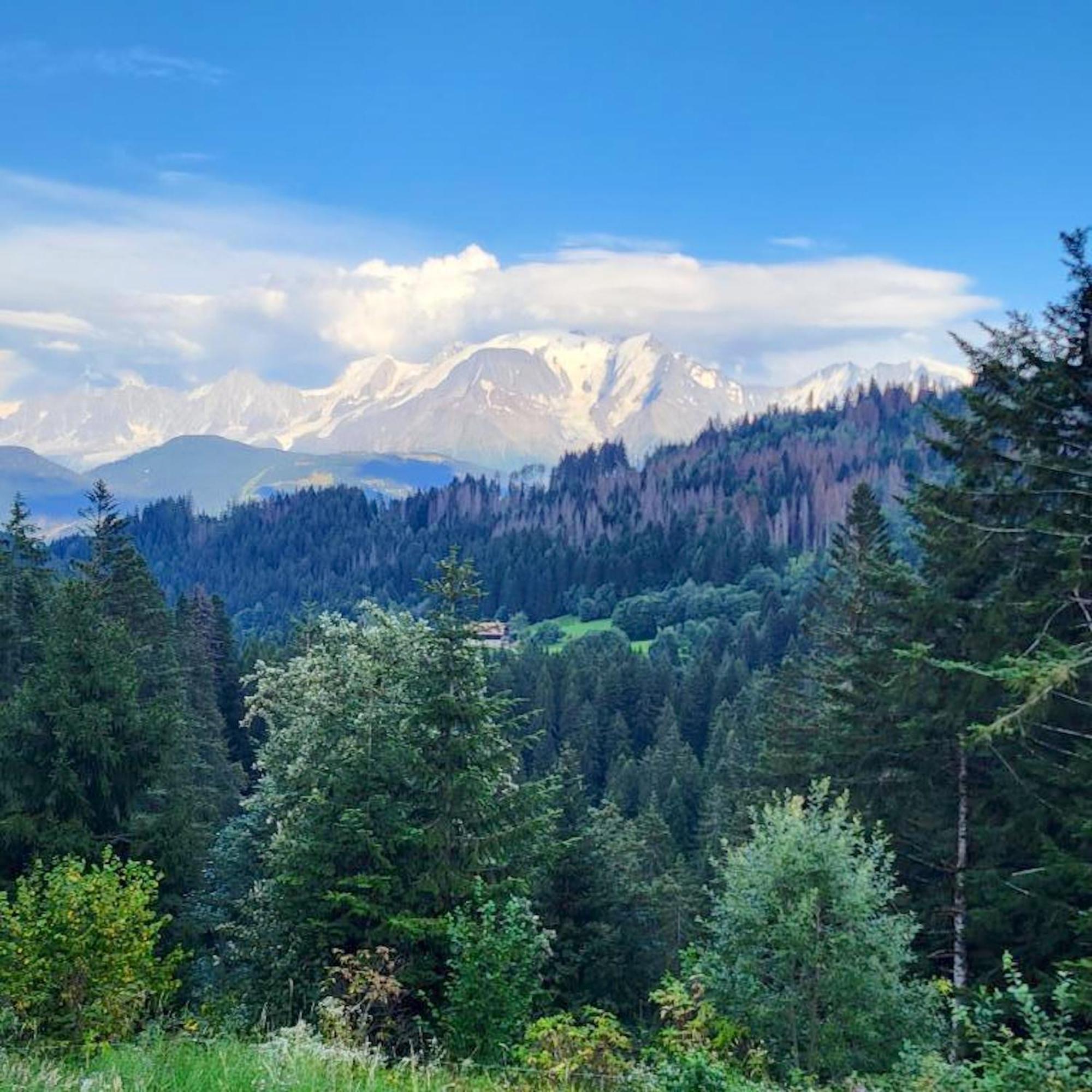 Studio Accueillant A Cordon Vue Mont Blanc 22 M² Parking Inclus Exterior foto